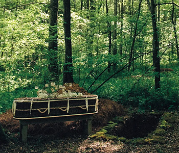 A green burial in a forest, with casket and flowers.